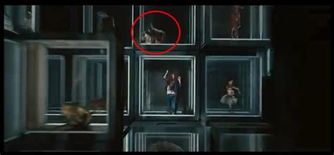 From shout outs to ash's alma mater to the cabin in the woods, there are plenty of hidden easter eggs in ash vs evil dead. Image - Possiblerabiddogs.png | The Cabin in the Woods ...