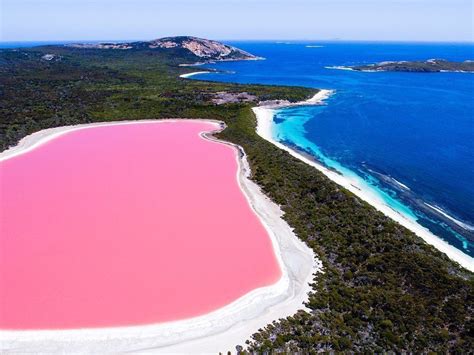 19 Pink Places You Need To Visit At Least Once Lake Hillier Pink