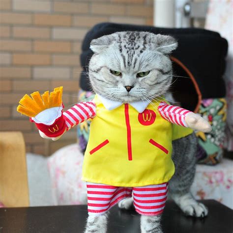 Cute Cat Halloween Costume Fast Food Character Clothes Cat Bonanza