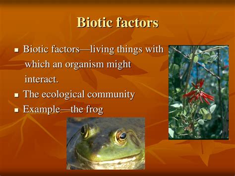 Ppt Biotic And Abiotic Factors Powerpoint Presentation Free Download