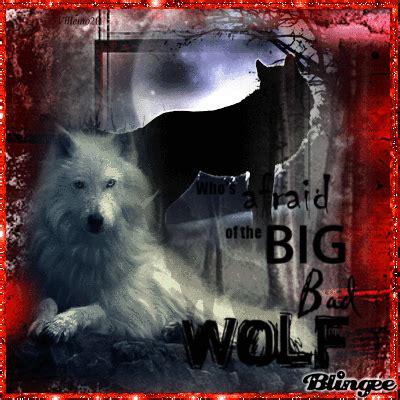 Who S Afraid Of The Big Bad Wolf Picture Blingee Com