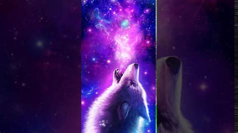 Desktop Hd Wolf Galaxy Wallpapers Wallpaper Cave