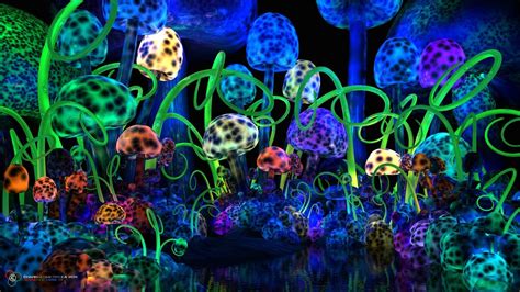 Mushroom Trippy Wallpapers Wallpaper Cave