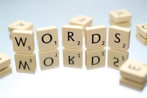 Words Matter How The Terms You Use Impact Dog Training Marketing