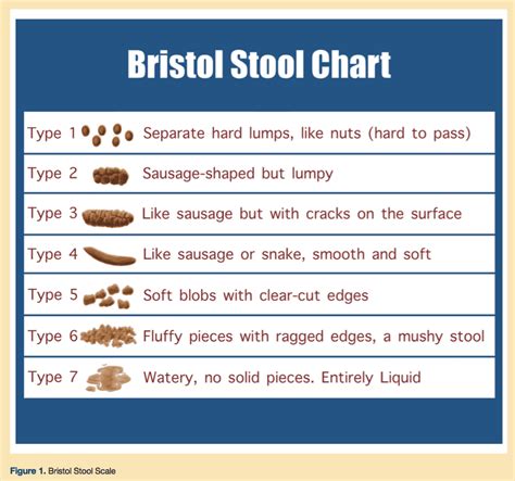 What Poop Says About Your Health According To The Poop Chart Images