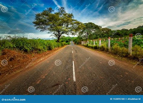 Road With Trees At Both Side Coimbatore Tamil Nadu India Stock Photo