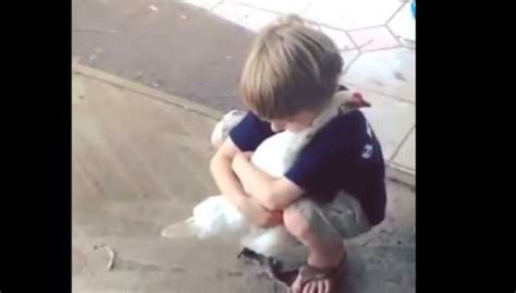 Have You Hugged Your Chicken Lately This Boy Just Did And The Chicken
