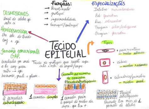 Mapa Mental Tecido Epitelial Tecido Epitelial Mapa Mental Tipos De