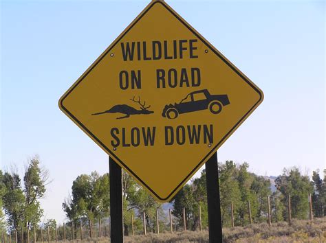 Funny Road Signs