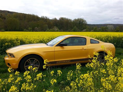 My Mothers Mustang Rmustang