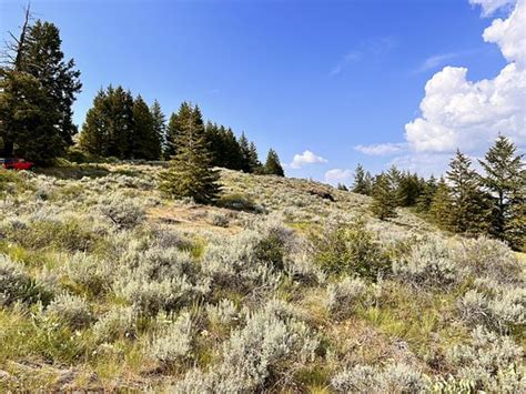 10 Acres Of Recreational Land With Home For Sale In Republic