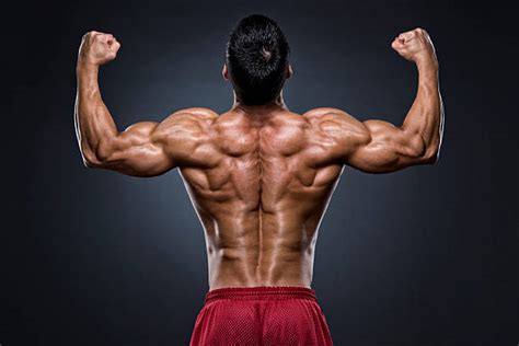 5800 Muscle Man Back Stock Photos Pictures And Royalty Free Images