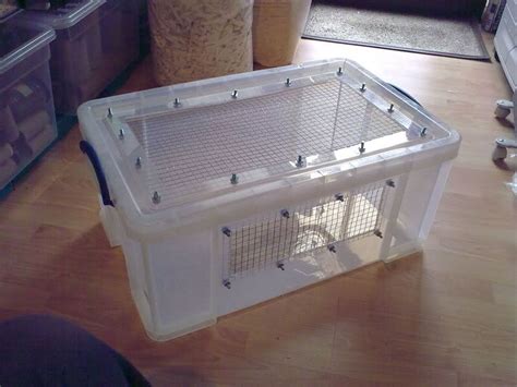 Need Advice On Bin Cages Hamster Central Hamster Bin Cage Hamster Diy Cage Hedgehog Cage