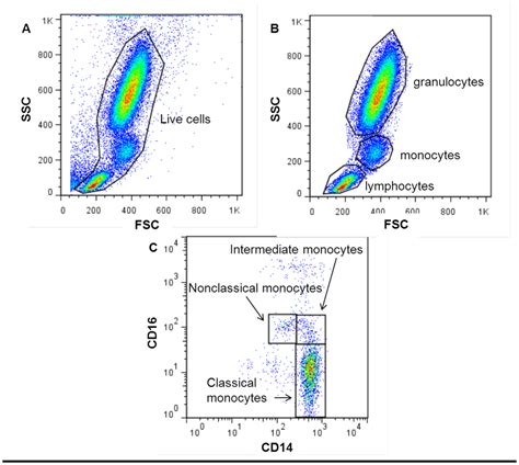 Flow Cytometric Gating Strategy For Monocyte Subsets In Human
