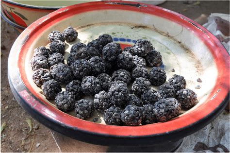 balls of soumbala derived from the fermented seeds of parkia biglobosa download scientific