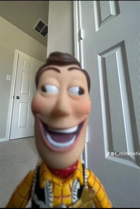 Create Meme Woodys Face Woody Toy Woodys Toy Story Pictures