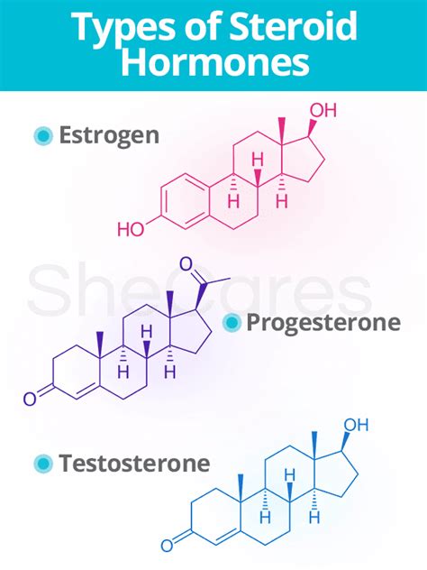 Different Types Of Hormones