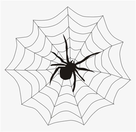 ☀ How To Draw Creepy Halloween Decorations Spider Web Gails Blog