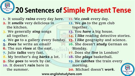 Examples are state verbs, modal verbs, phrasal verbs, and irregular verbs. 20 Sentences in Simple Present Tense - English Study Here