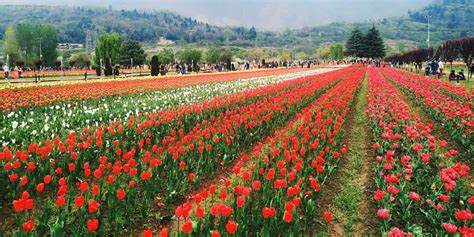 Must Visit These Flower Valleys On Your Next Trip Must Visit These