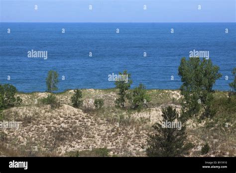 Indiana Dunes National Lakeshore Beach Plants Stock Photo Alamy