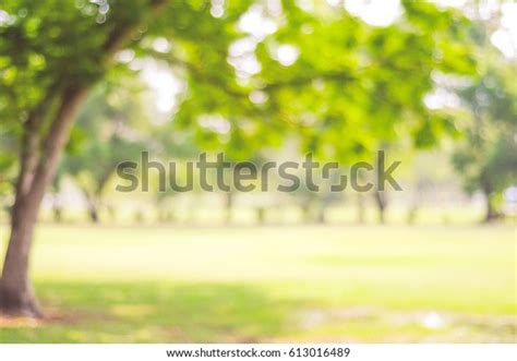 Blur Park Garden Tree Nature Background Stock Photo Edit Now 613016489