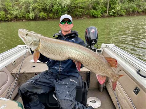 Record Breaking Musky Caught And Released In West Virginia Coastal