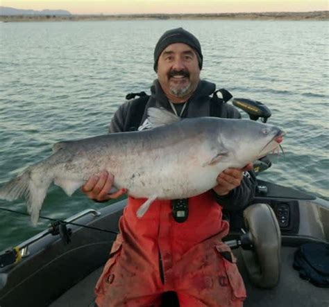 Man Catches New State Record Blue Catfish Outdoorhub