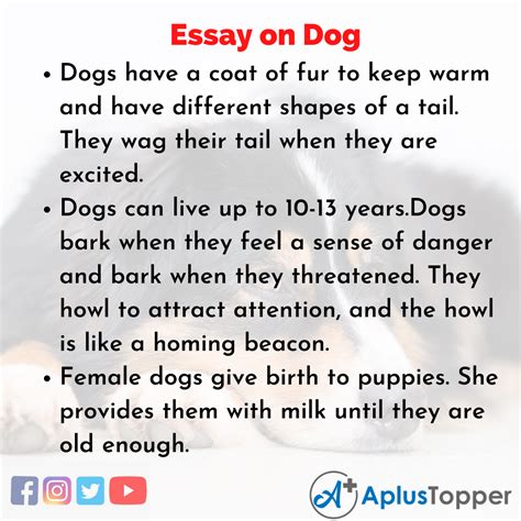 A Dog Essay Telegraph