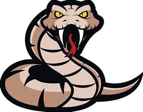 Viper Snake Head Clip Art