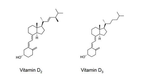 A dermatologist's perspective on vitamin d. News | University College Cork