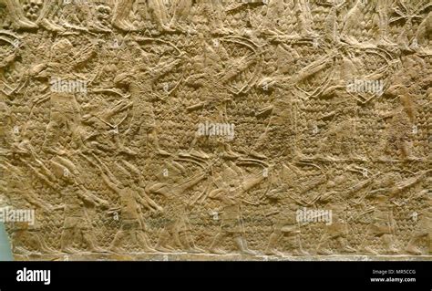 Wall Relief Assyria High Resolution Stock Photography And Images Alamy