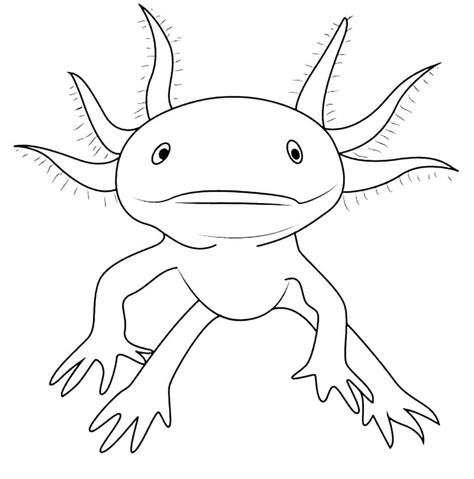 Kolorowanka Axolotl P Ywaj Cy W Wodzie Do Druku I Online
