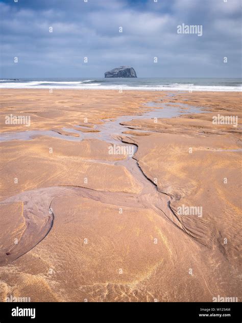 Bass Rock And Seacliff Beach North Berwick Scotland Stock Photo Alamy