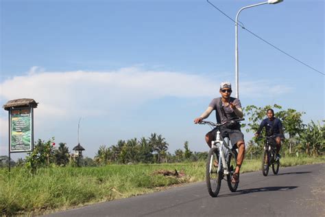 Sewa Sepeda Dan Paket Tur Sepeda Di Bali Nyewain