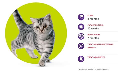 Bravecto® for cats is a flea and tick treatment produced by pharmaceutical company merck animal health. NEW PRODUCT: Bravecto Plus for cats - Nicklin Way ...