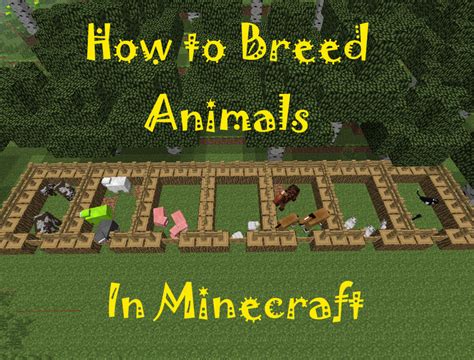 How To Breed Animals In Minecraft Levelskip