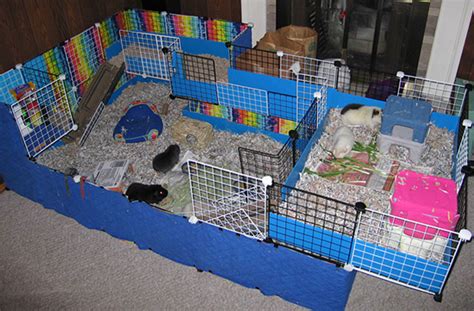 15 Diy Guinea Pig Cage Inspiration That Is Easy To Make On Your Own Nrb