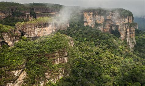 Colombias Serranía De Chiribiquete Is Now The Worlds Largest Tropical