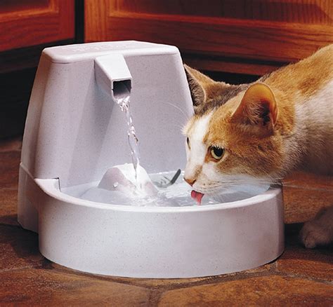 Drinkwell Original Pet Fountain For Moms