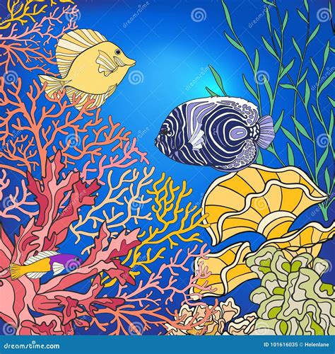 Underwater World Coral Reef Corals Fish And Seaweeds Stock
