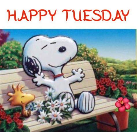 Download and use snoopy happy tuesday meme clipart in your website, presentations or documents. Pin by Martha Urias on Days of the week quotes | Happy ...