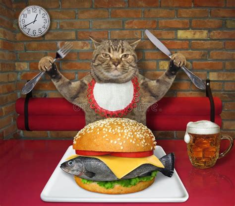 Cat Eats Fresh Fish Burger In Restaurant Stock Photo Image Of Closeup