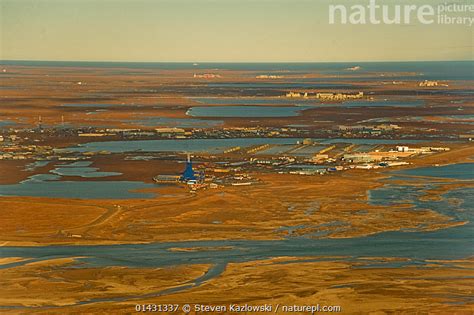 Stock Photo Of Aerial Landscape View Of Prudhoe Bay Oil Fields Central