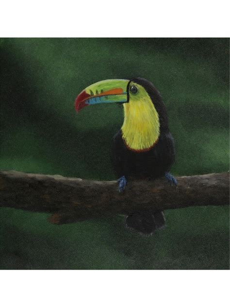 Toucan Do It Oil On Canvas By Karthik Exotic India Art