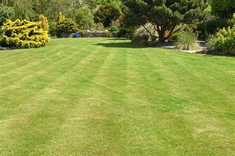 Ride On Lawn Mowing In Hertfordshire And Buckinghamshire