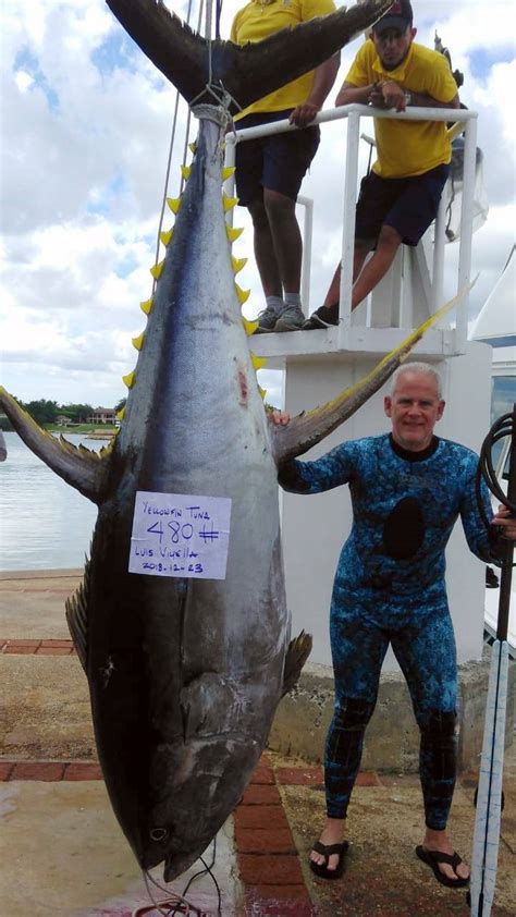 New Record Yellowfin Tuna Landed In Dominican Republic