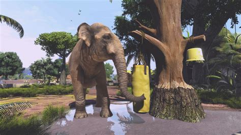 Buy Zoo Tycoon Ultimate Animal Collection Steam Key Instant Delivery