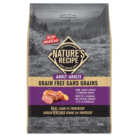 Nature's recipe dog food grain free. Nature's Recipe Adult Grain Free Lamb, Sweet Potato ...