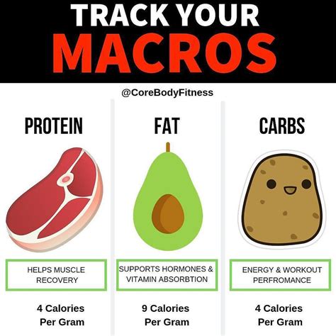 The Difference Between Calories And Macros